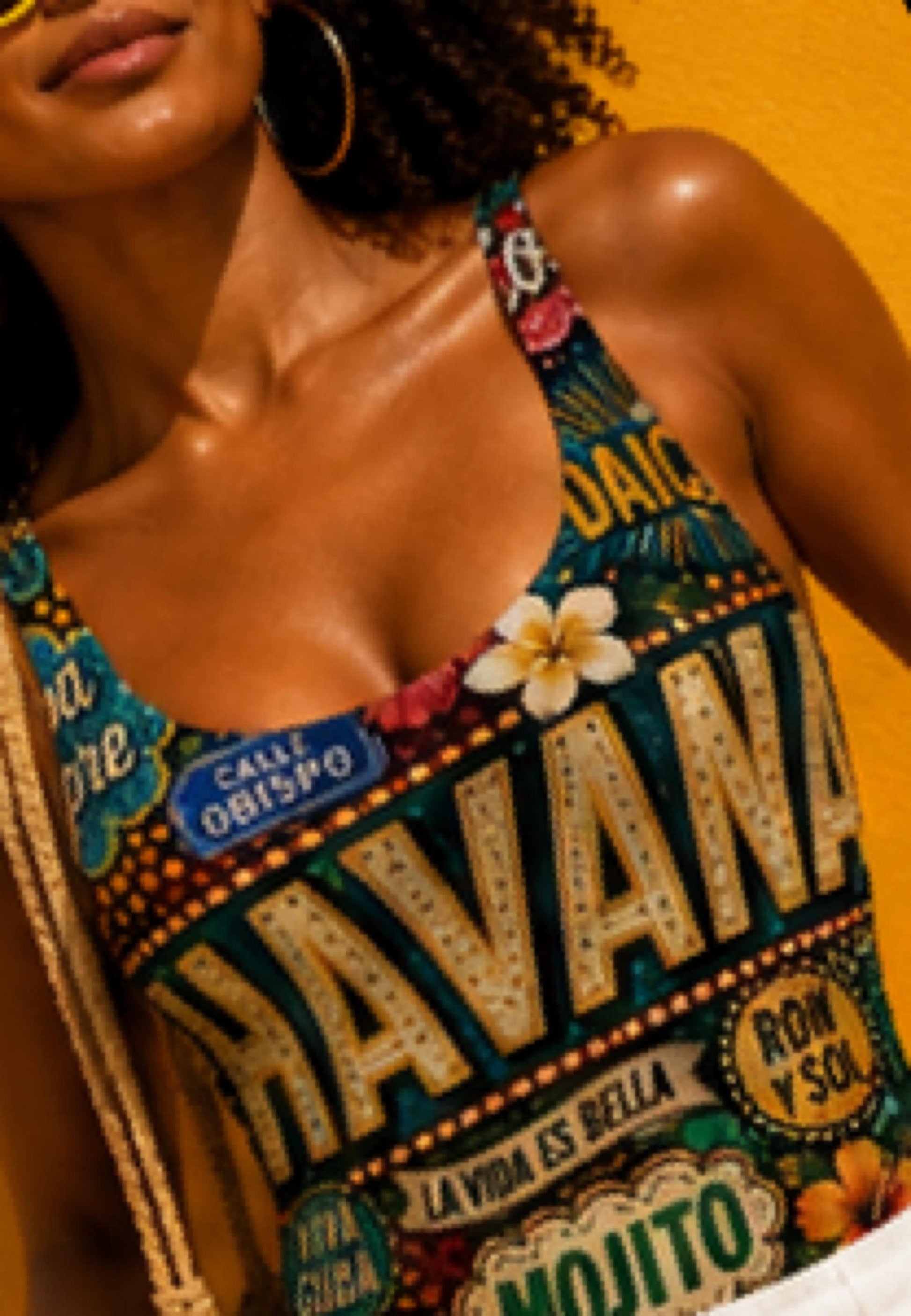 One Piece Swimsuit for Women, Havana Cuba Destination Print, Luxury Resort Wear Beachwear, Papilio Litora. Wear It First.